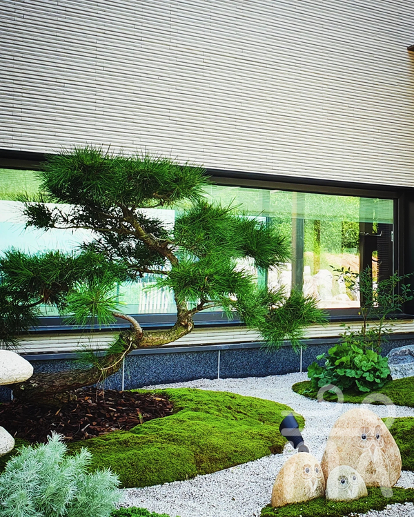 LANDSCAPING WORK