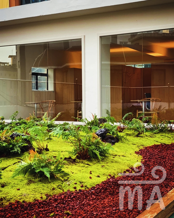 MOSS PLANTERIOR